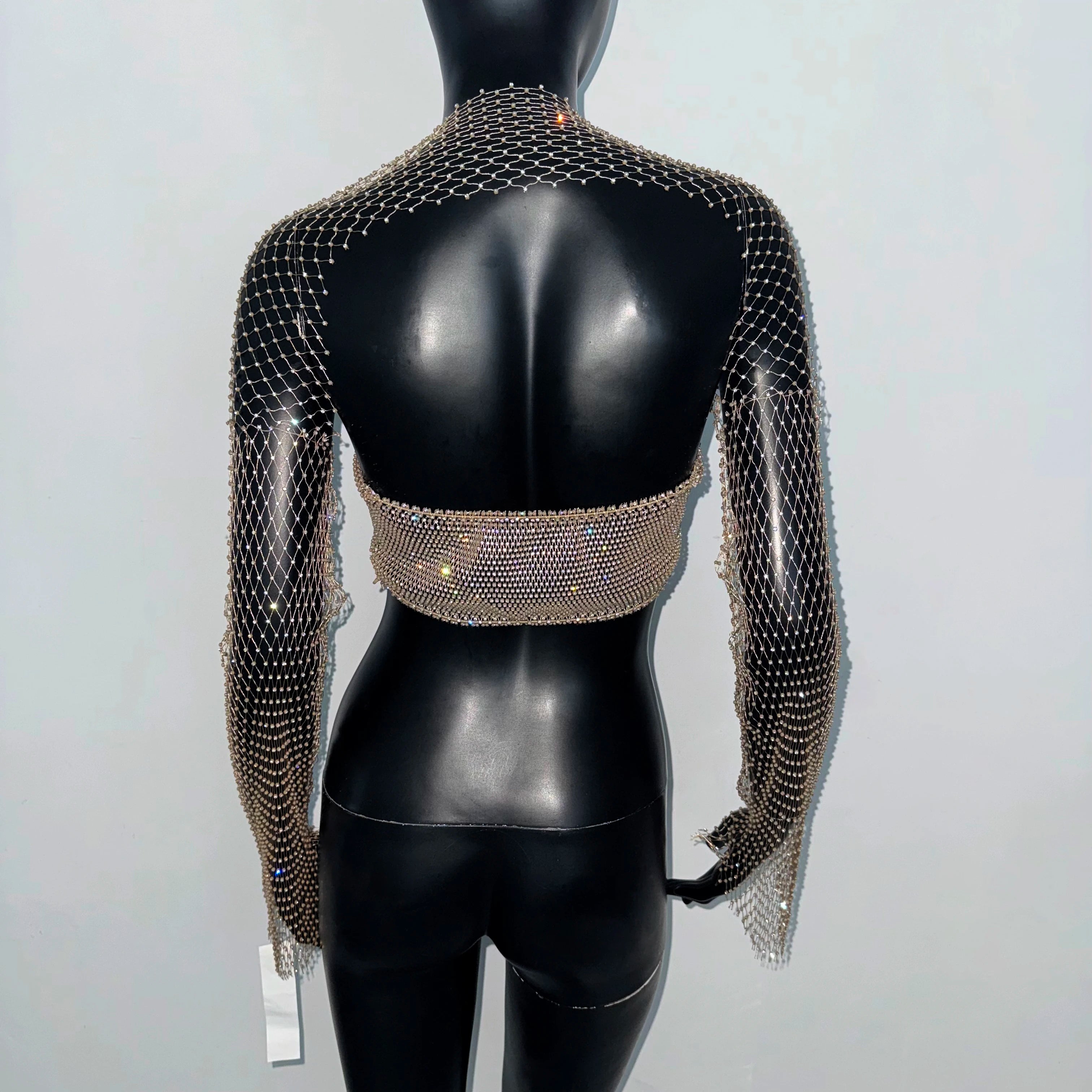 Rhinestone Mesh Long Sleeve Crop Top - Sheer Backless V-Neck Tee