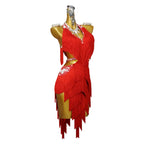 Red Rhinestone Latin Dance Dress with Fringe & Crystal Details
