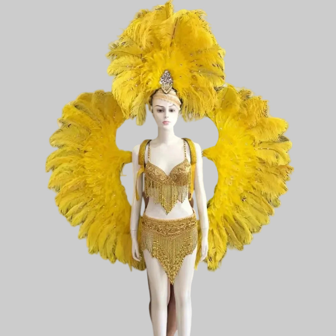 Samba Feather Headdress & Wings Set - Carnival Performance Costume