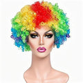 Rainbow Afro Wig | Pride & Stage