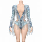 Sparkly Fringe Bodysuit | Long Sleeves
