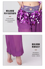 Belly Dance Harem Set | Sequin Halter Top & Chiffon Pants