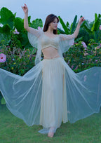 Belly Dance Costume | Mesh Top & Long Sash Skirt Set