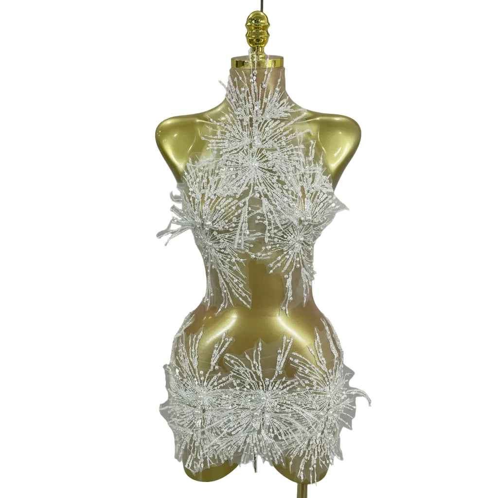 Pearl Starburst Mesh Mini Dress | 3D Appliqué | Stage & Performance