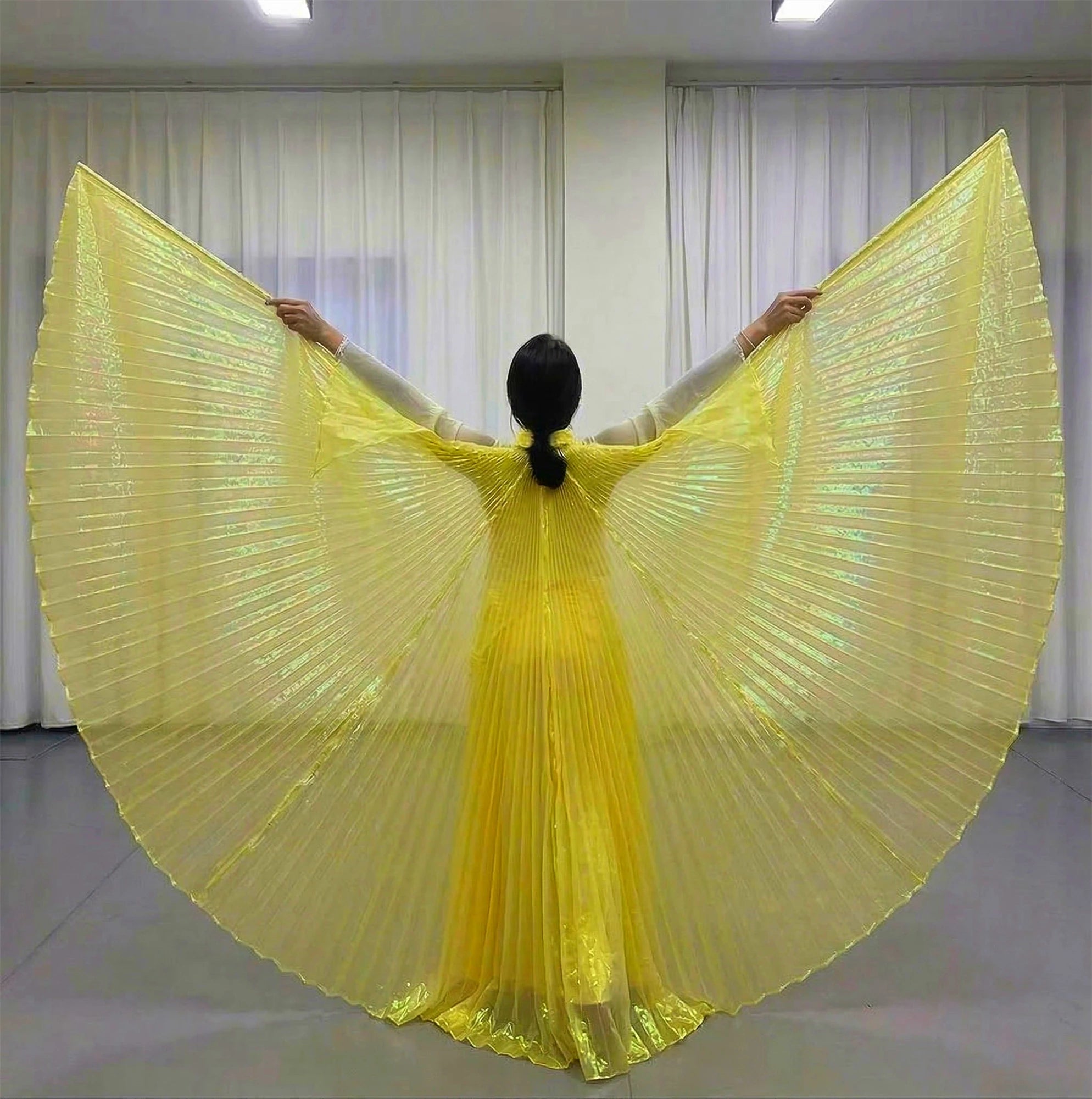 Belly Dance Isis Wings | Iridescent | Split & Solid