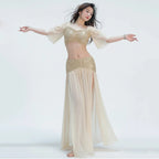 Belly Dance Costume | Sequin Mesh Top & Long Skirt Set