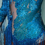 Luxe Rhythm Fringe & Rhinestone Performance Set — Multi‑Color Variants (One Size Fits S–XL)