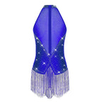 Tassel Fringe Leotard | Rhinestone | Latin Dance